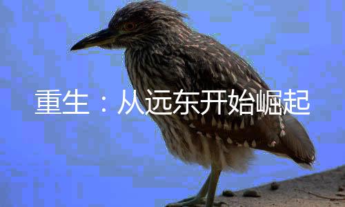 重生：从远东开始崛起