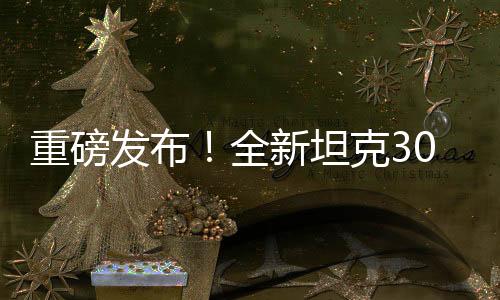 重磅发布！全新坦克300 2025款震撼上市，引领越野新风尚