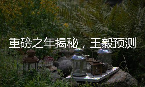 重磅之年揭秘，王毅预测引领2025年至潮极具历史分量正文
