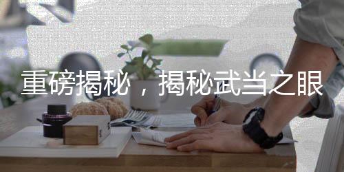重磅揭秘，揭秘武当之眼——揭秘武昌号驱真赴法国的真正原因及动向解析