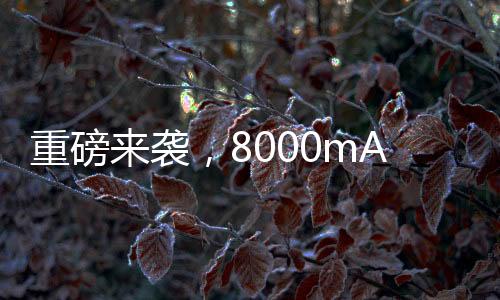 重磅来袭，8000mAh超大容量手机电池即将来临