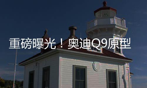 重磅曝光！奥迪Q9原型车谍照首度亮相