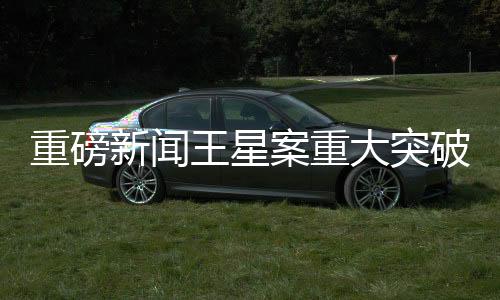 重磅新闻王星案重大突破，颜十六嫌犯归案，揭开犯罪网络的冰山一角
