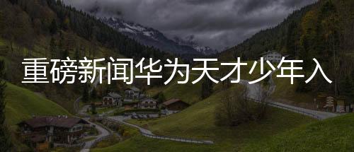 重磅新闻华为天才少年入职南京大学，携手共筑科技未来