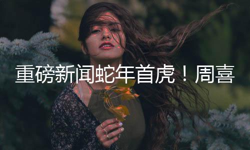 重磅新闻蛇年首虎！周喜安被查，揭开新的篇章