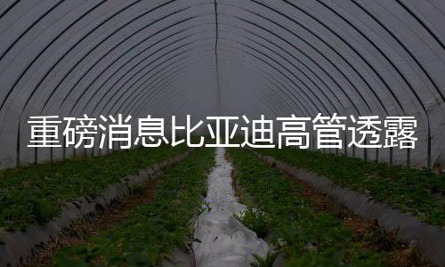 重磅消息比亚迪高管透露，灵鸢换电版属于仰望系列，引领新能源汽车革新之路