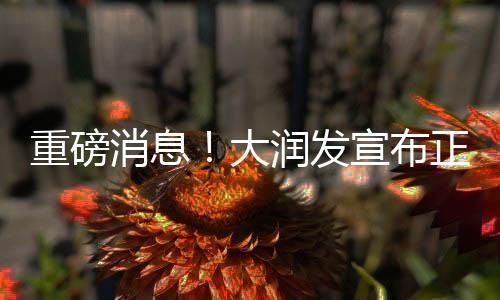 重磅消息！大润发宣布正式易主，开启全新篇章