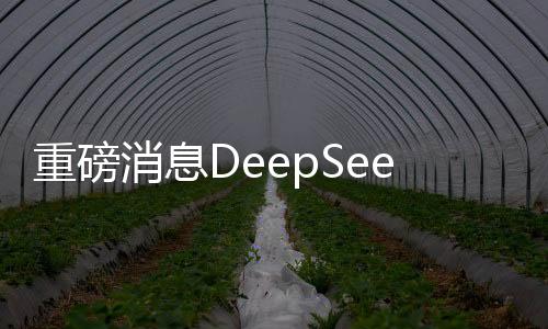 重磅消息DeepSeek全球启动百万人才招募计划，共筑人工智能新篇章！