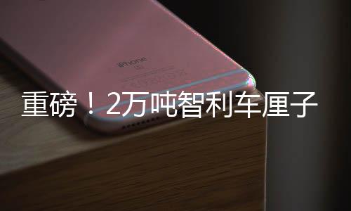 重磅！2万吨智利车厘子运抵中国，开启新鲜美味之旅