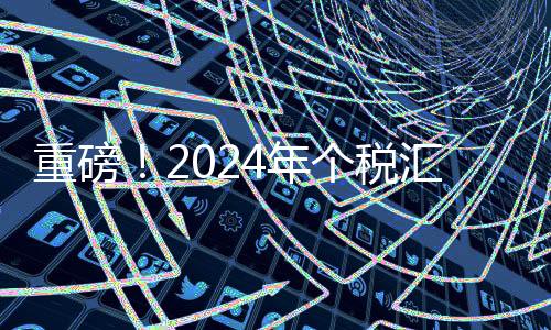 重磅！2024年个税汇算正式开启预约服务