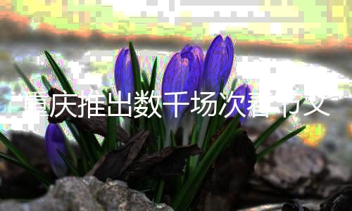 重庆推出数千场次春节文旅主题活动