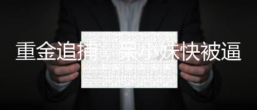 重金追捕，呆小妹快被逼疯了