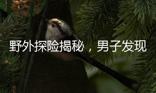 野外探险揭秘，男子发现神秘山洞，扔石块探深20秒未见底