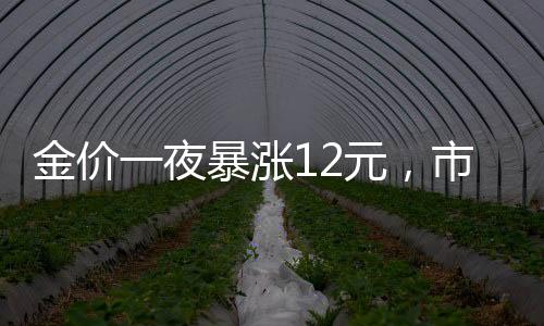 金价一夜暴涨12元，市场反应强烈