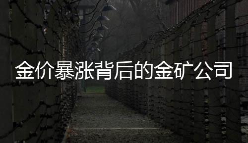 金价暴涨背后的金矿公司繁荣盛景