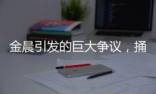 金晨引发的巨大争议，捅出的篓子究竟有多大？