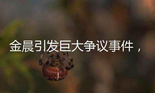 金晨引发巨大争议事件，背后原因及各方反应探究