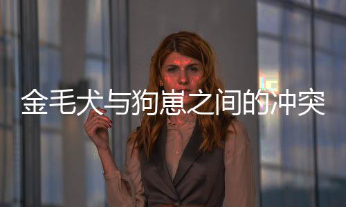金毛犬与狗崽之间的冲突引发关注，大狗霸气护娃报复行为揭秘