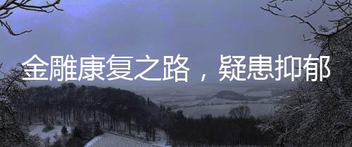 金雕康复之路，疑患抑郁症的金雕恢复食欲