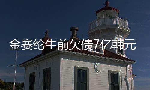 金赛纶生前欠债7亿韩元，巨星背后的债务阴影