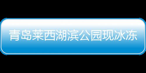 青岛莱西湖滨公园现冰冻奇观，冬日画卷中的自然美景
