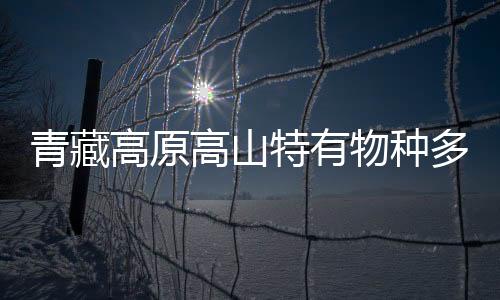 青藏高原高山特有物种多样性如何形成？中外科学家合作研究揭秘
