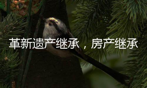 革新遗产继承，房产继承将需邻居签字引发广泛关注