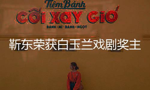 靳东荣获白玉兰戏剧奖主角奖，一展演技之巅