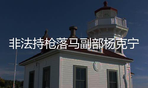 非法持枪落马副部杨克宁获刑十六年纪实