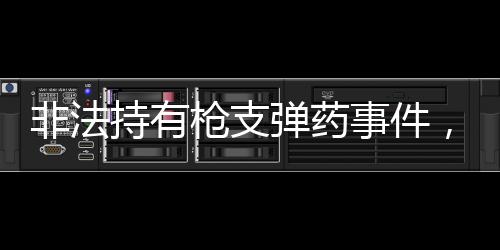 非法持有枪支弹药事件，杨克宁被判有期徒刑十六年