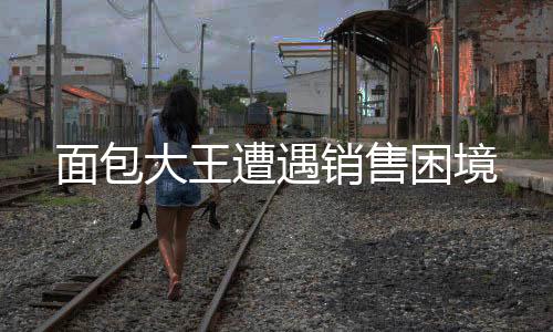 面包大王遭遇销售困境