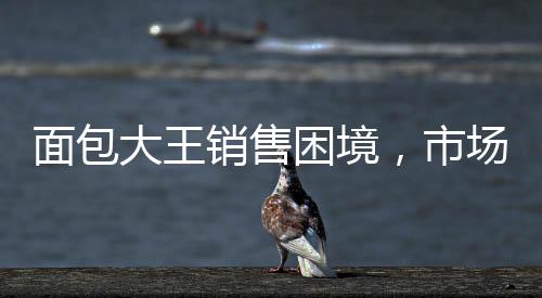 面包大王销售困境，市场竞争下的挑战与机遇