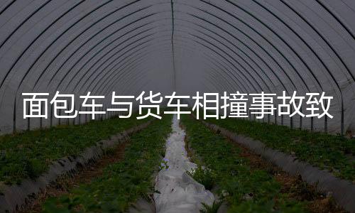 面包车与货车相撞事故致六人死亡，悲剧再次敲响交通安全警钟