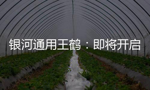 银河通用王鹤：即将开启人形机器人生产力时代