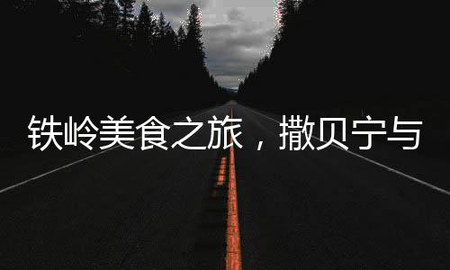 铁岭美食之旅，撒贝宁与贾静雯的初体验