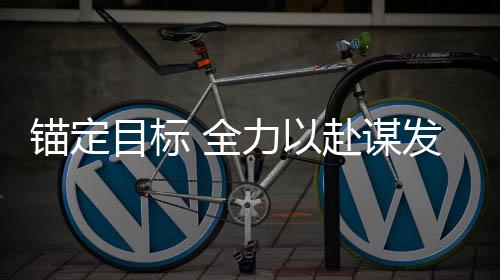 锚定目标 全力以赴谋发展