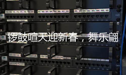 锣鼓喧天迎新春，舞乐翩翩庆华年