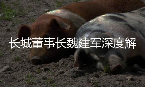长城董事长魏建军深度解析国产车生锈问题，一场行业内部的自我审视与展望