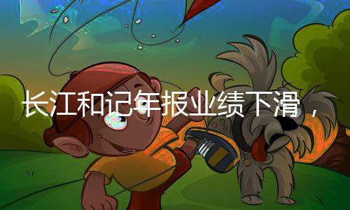 长江和记年报业绩下滑，挑战与机遇并存