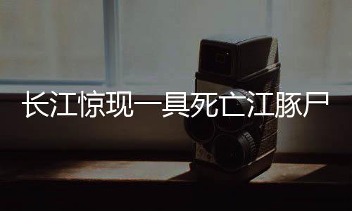 长江惊现一具死亡江豚尸体，引发关注与反思——生态保护的紧迫呼唤