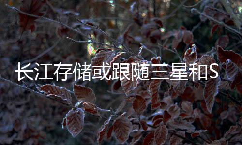 长江存储或跟随三星和SK海力士 下个月NAND闪存涨价超10%