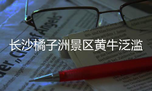 长沙橘子洲景区黄牛泛滥问题引发关注，景区回应
