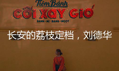 长安的荔枝定档，刘德华与杨幂领衔主演