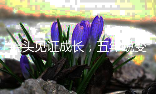 镜头见证成长，五年蜕变，女友的华丽绽放