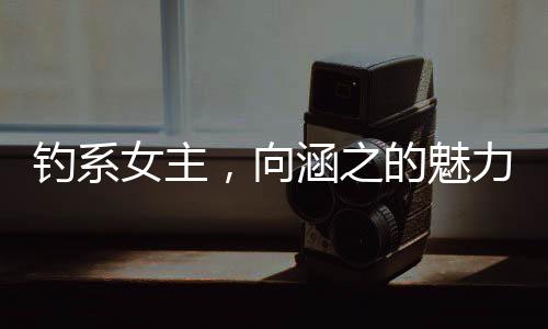 钓系女主，向涵之的魅力与演技探索