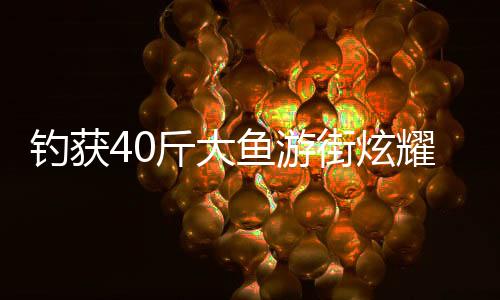 钓获40斤大鱼游街炫耀，一场别开生面的垂钓盛宴