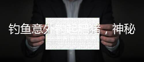 钓鱼意外钓起肥猪，神秘事件引发热议