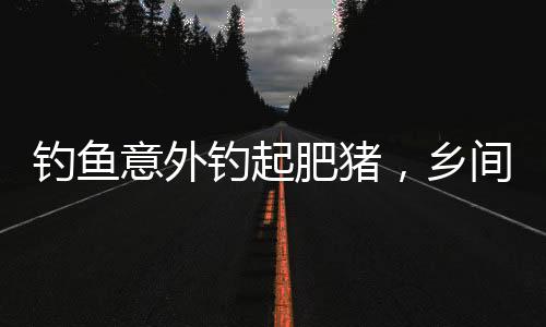 钓鱼意外钓起肥猪，乡间故事激起热议