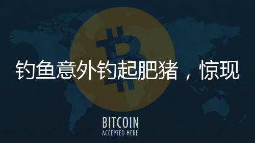 钓鱼意外钓起肥猪，惊现神秘事件！