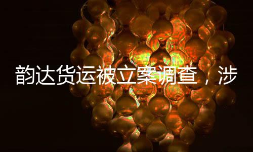 韵达货运被立案调查，涉事公司运营的隐患与社会影响深度剖析